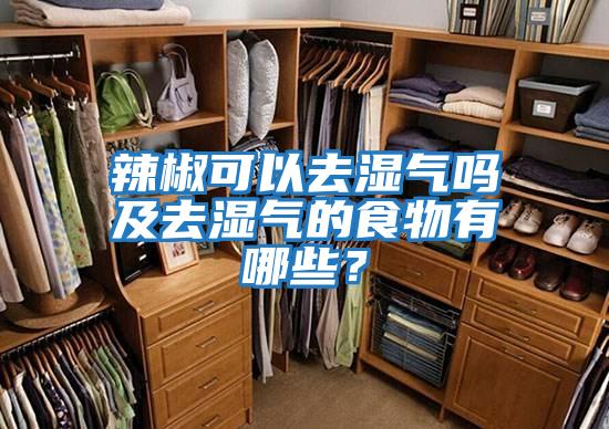 辣椒可以去濕氣嗎及去濕氣的食物有哪些？