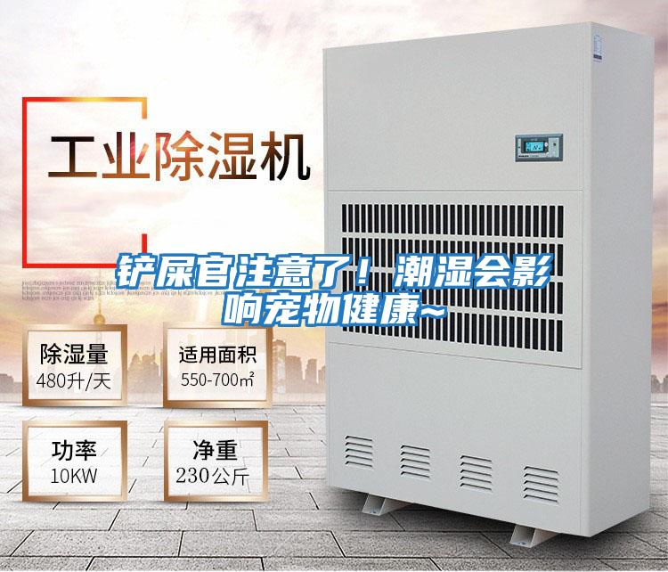 鏟屎官注意了！潮濕會(huì )影響寵物健康~