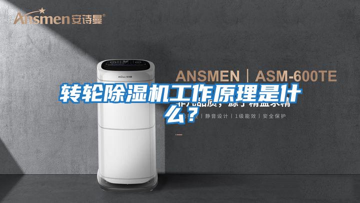 轉輪除濕機工作原理是什么？
