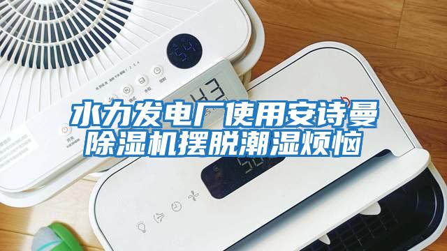 水力發(fā)電廠(chǎng)使用安詩(shī)曼除濕機擺脫潮濕煩惱