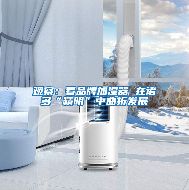 觀(guān)察：看品牌加濕器 在諸多“精明”中曲折發(fā)展