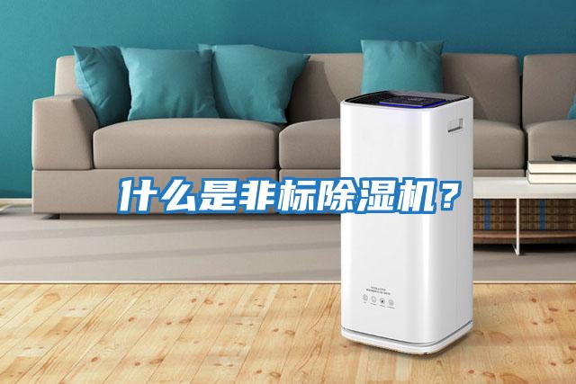 什么是非標除濕機？