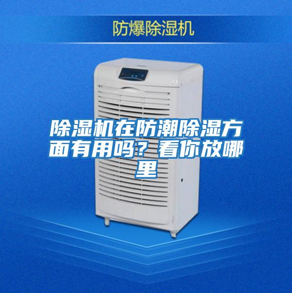 除濕機在防潮除濕方面有用嗎？看你放哪里