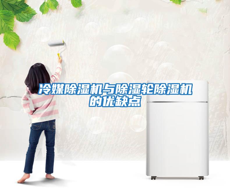 冷媒除濕機與除濕輪除濕機的優(yōu)缺點(diǎn)
