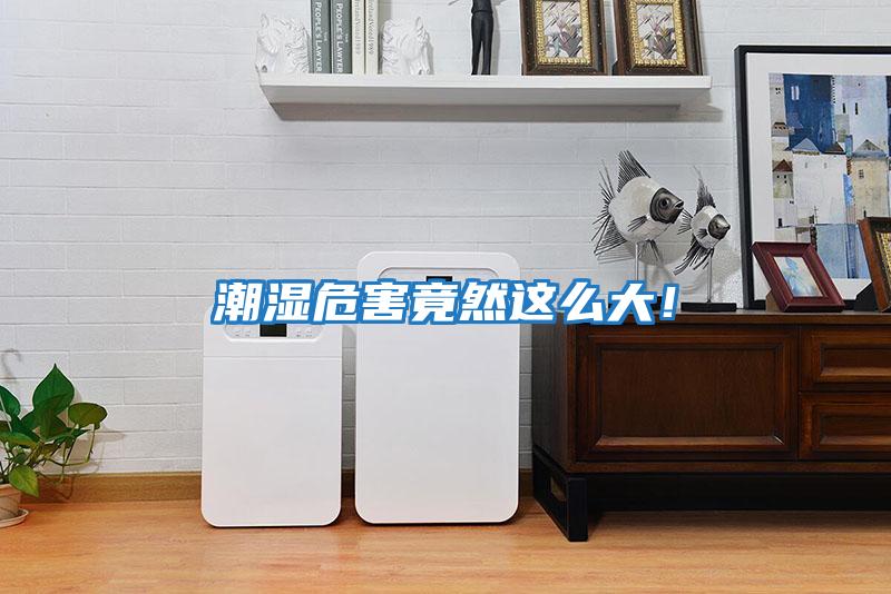 潮濕危害竟然這么大！