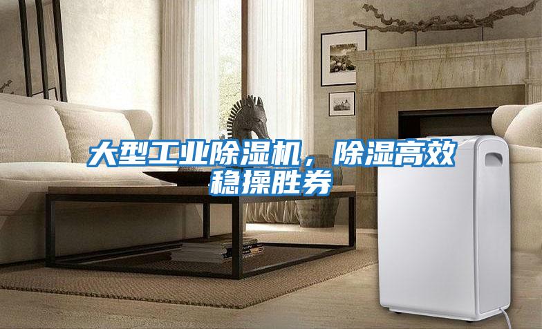 大型工業(yè)除濕機，除濕高效穩操勝券