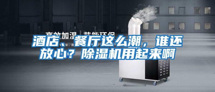 酒店、餐廳這么潮，誰(shuí)還放心？除濕機用起來(lái)啊