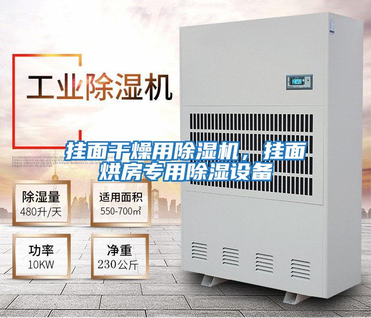 掛面干燥用除濕機，掛面烘房專(zhuān)用除濕設備