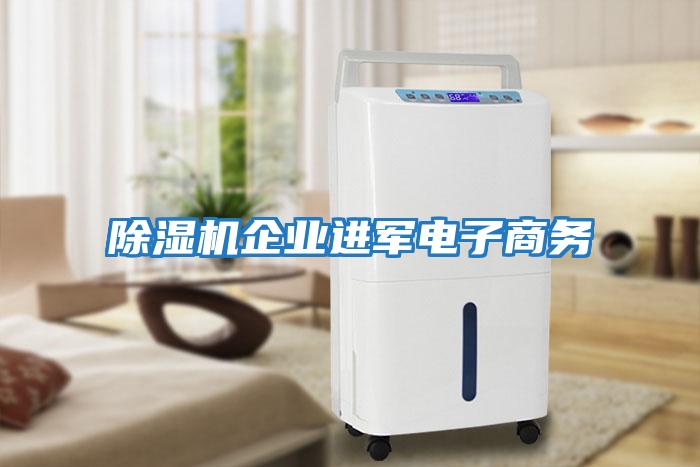 除濕機企業(yè)進(jìn)軍電子商務(wù)