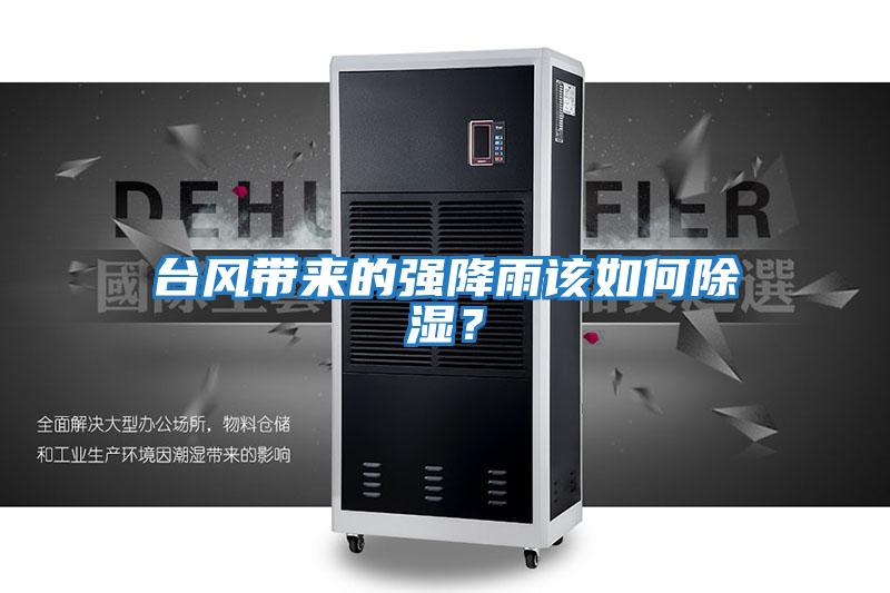 臺風(fēng)帶來(lái)的強降雨該如何除濕？