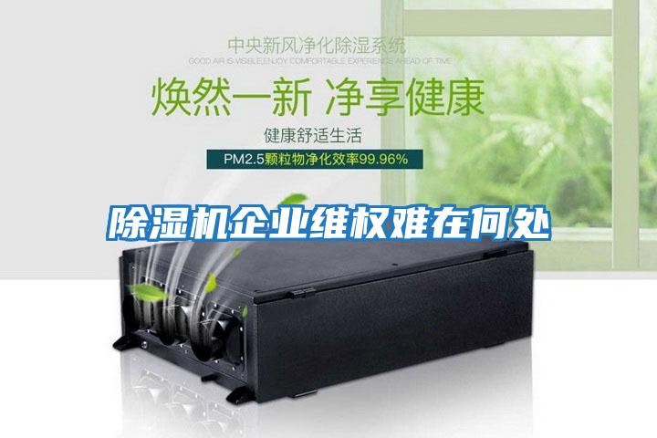 除濕機企業(yè)維權難在何處