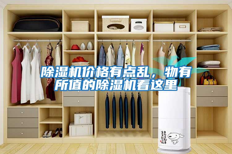 除濕機價(jià)格有點(diǎn)亂，物有所值的除濕機看這里