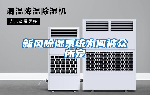新風(fēng)除濕系統為何被眾所寵