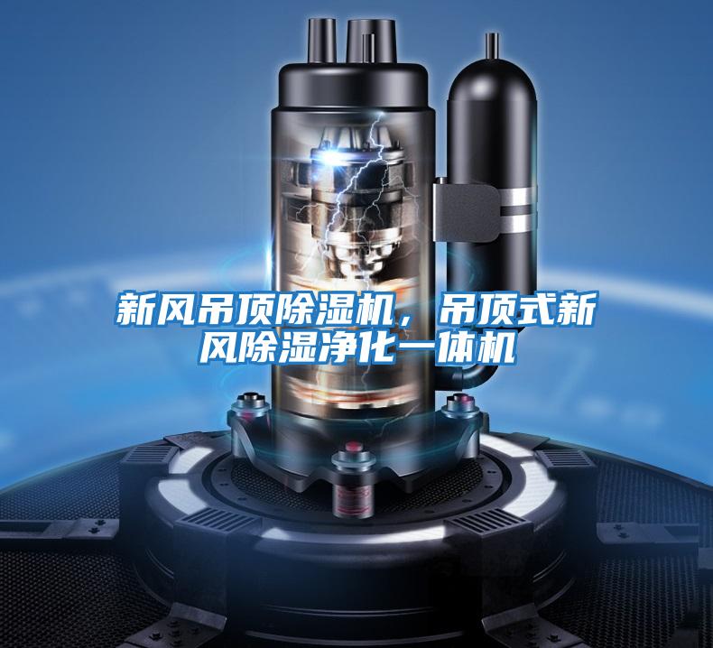 新風(fēng)吊頂除濕機，吊頂式新風(fēng)除濕凈化一體機