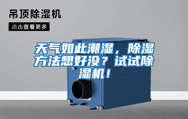 天氣如此潮濕，除濕方法想好沒(méi)？試試除濕機！
