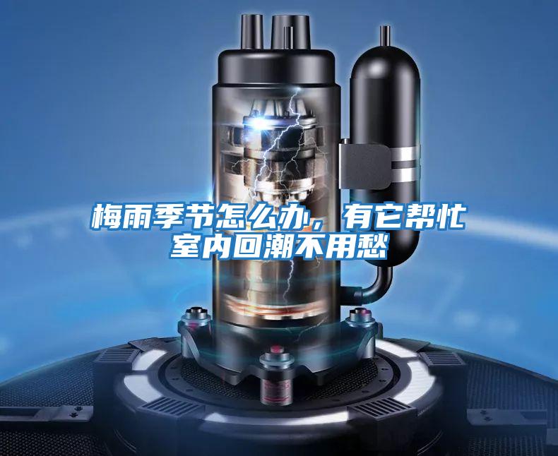 梅雨季節怎么辦，有它幫忙室內回潮不用愁