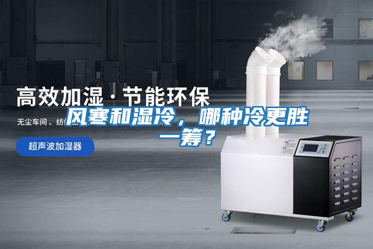 風(fēng)寒和濕冷，哪種冷更勝一籌？