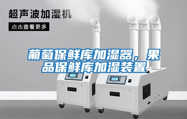 葡萄保鮮庫加濕器，果品保鮮庫加濕裝置