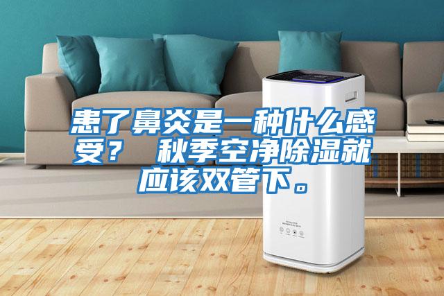 患了鼻炎是一種什么感受？ 秋季空凈除濕就應該雙管下。