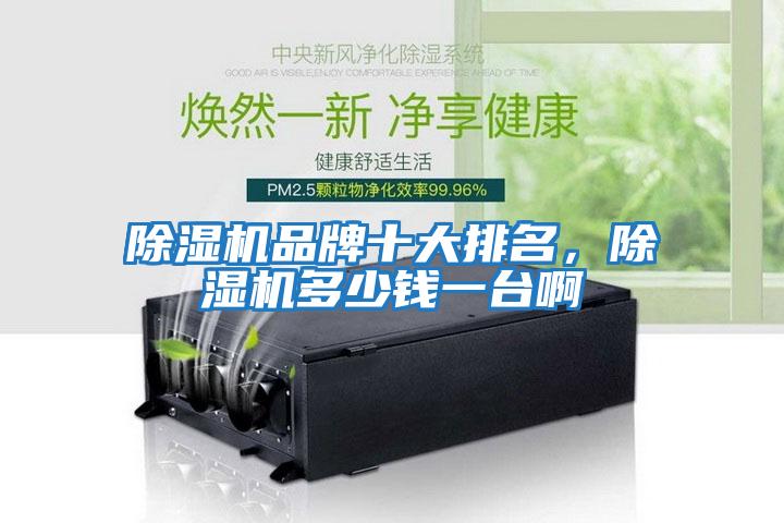除濕機品牌十大排名，除濕機多少錢(qián)一臺啊