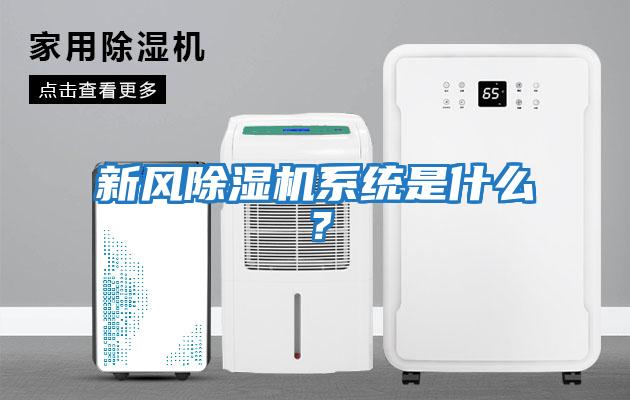 新風(fēng)除濕機系統是什么？