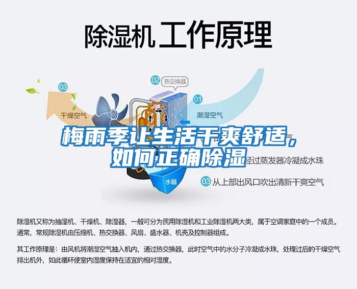 梅雨季讓生活干爽舒適，如何正確除濕