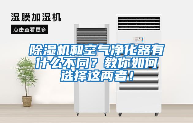 除濕機和空氣凈化器有什么不同？教你如何選擇這兩者！