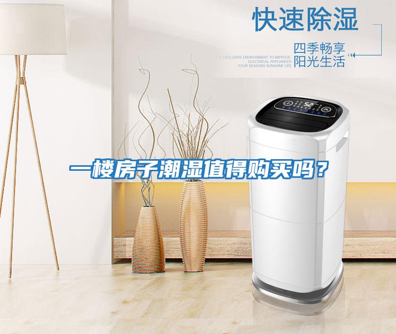 一樓房子潮濕值得購買(mǎi)嗎？