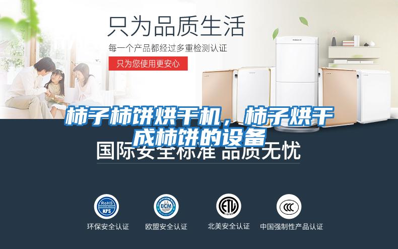 柿子柿餅烘干機,柿子烘干成柿餅的設備
