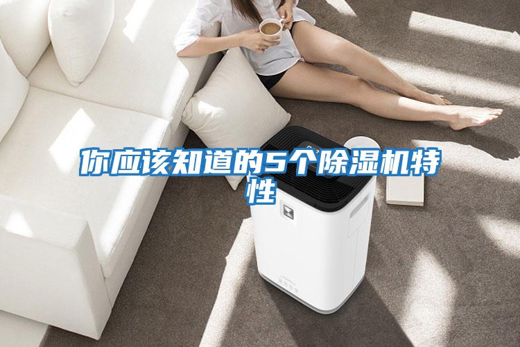你應該知道的5個(gè)除濕機特性