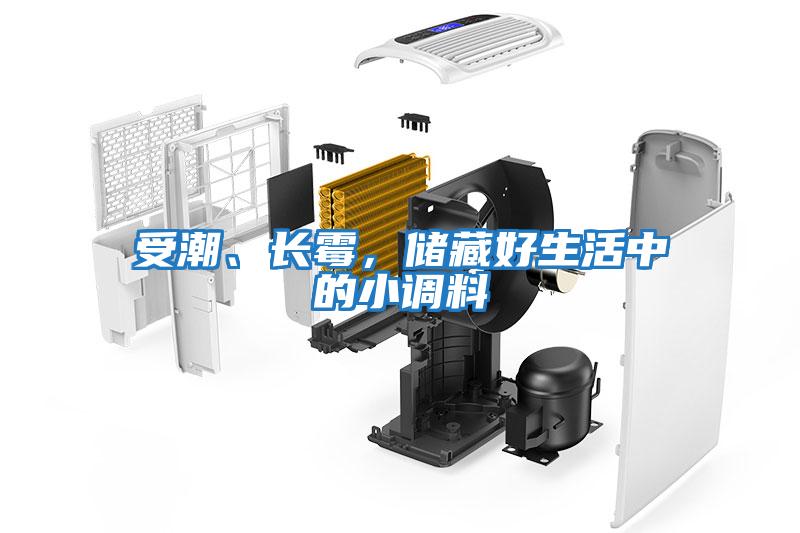 受潮、長(cháng)霉，儲藏好生活中的小調料