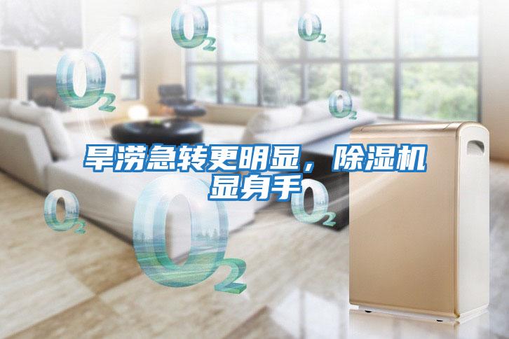 旱澇急轉更明顯，除濕機顯身手