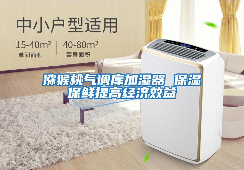 獼猴桃氣調庫加濕器 保濕保鮮提高經(jīng)濟效益