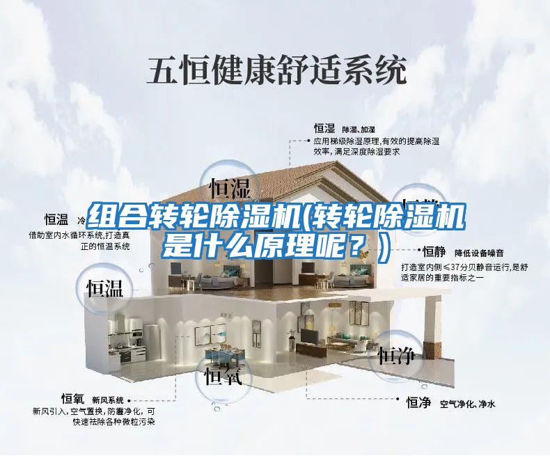 組合轉輪除濕機(轉輪除濕機是什么原理呢？)