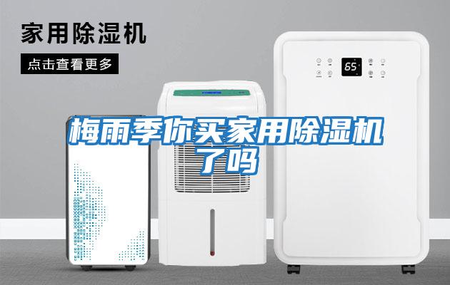 梅雨季你買(mǎi)家用除濕機了嗎
