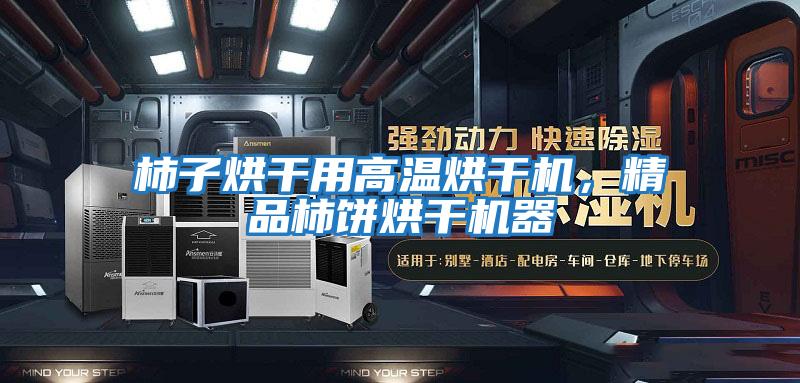 柿子烘干用高溫烘干機，精品柿餅烘干機器