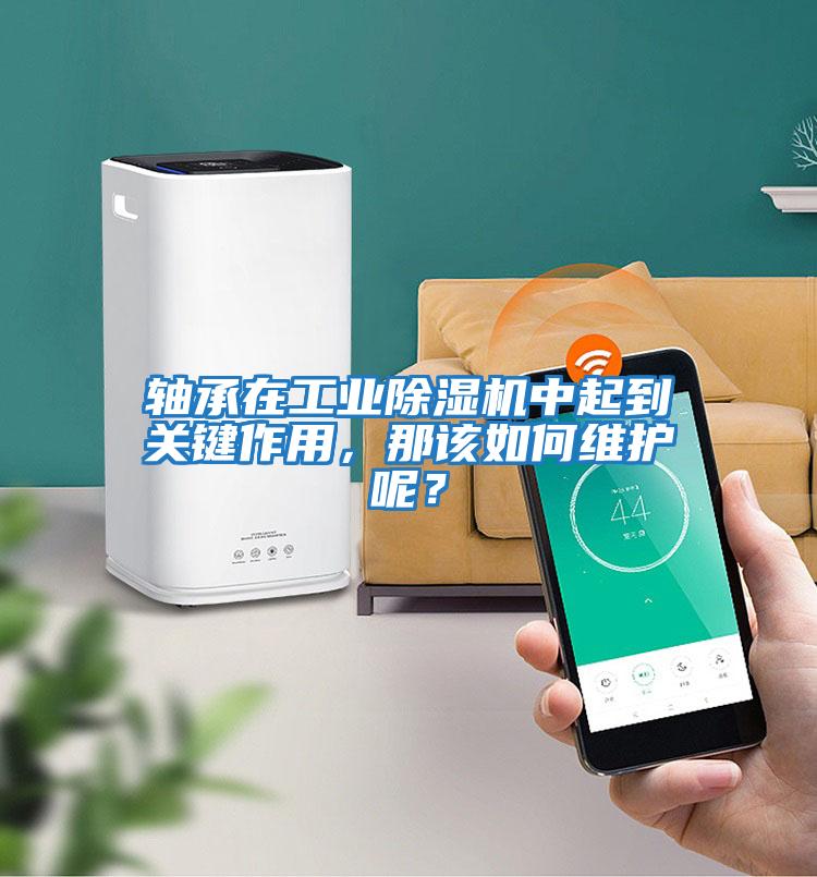 軸承在工業(yè)除濕機中起到關(guān)鍵作用，那該如何維護呢？