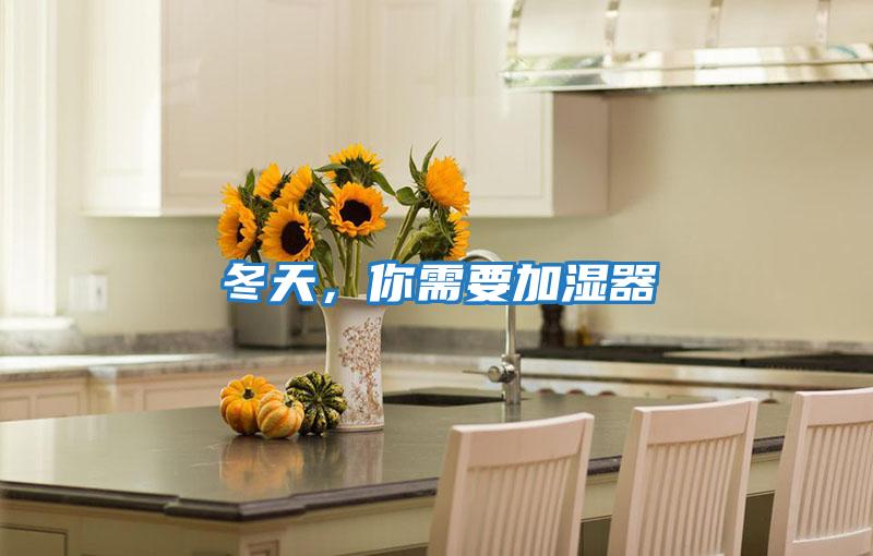 冬天，你需要加濕器