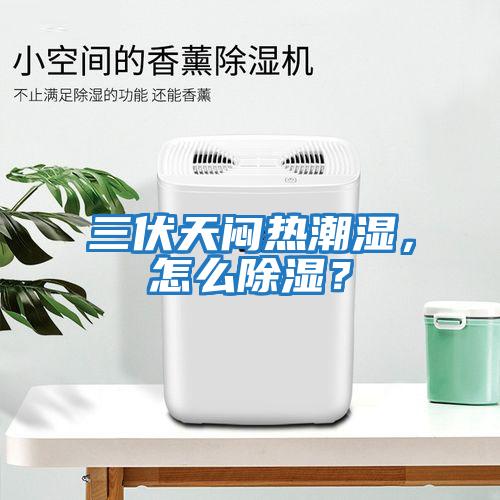 三伏天悶熱潮濕，怎么除濕？