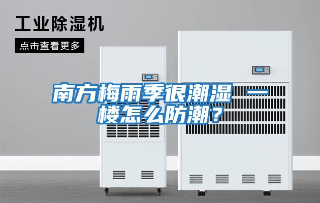 南方梅雨季很潮濕 一樓怎么防潮？