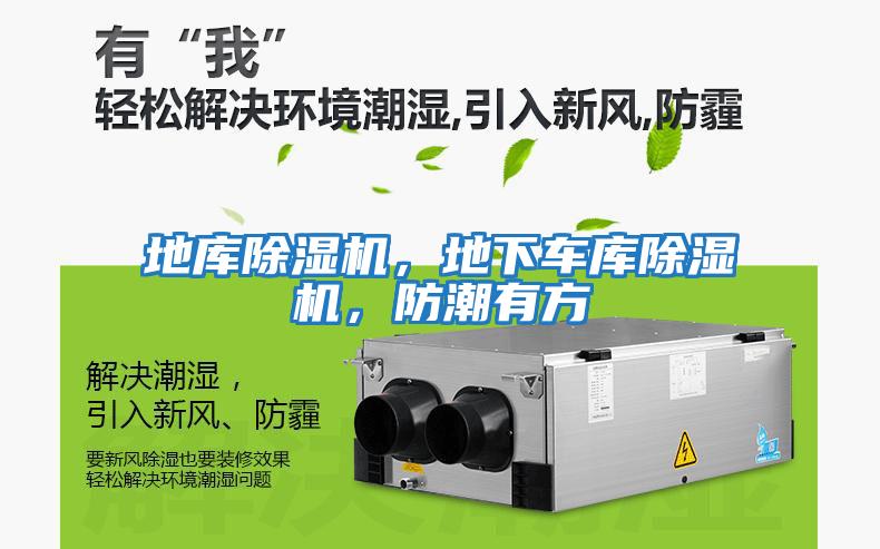 地庫除濕機，地下車(chē)庫除濕機，防潮有方