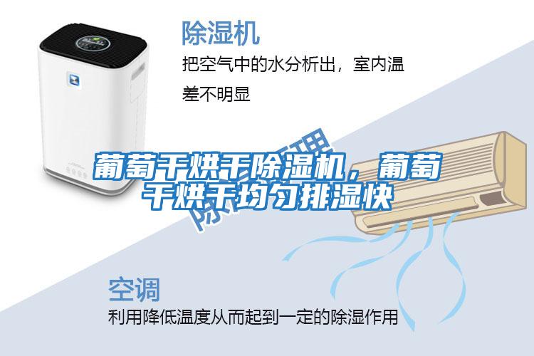 葡萄干烘干除濕機，葡萄干烘干均勻排濕快