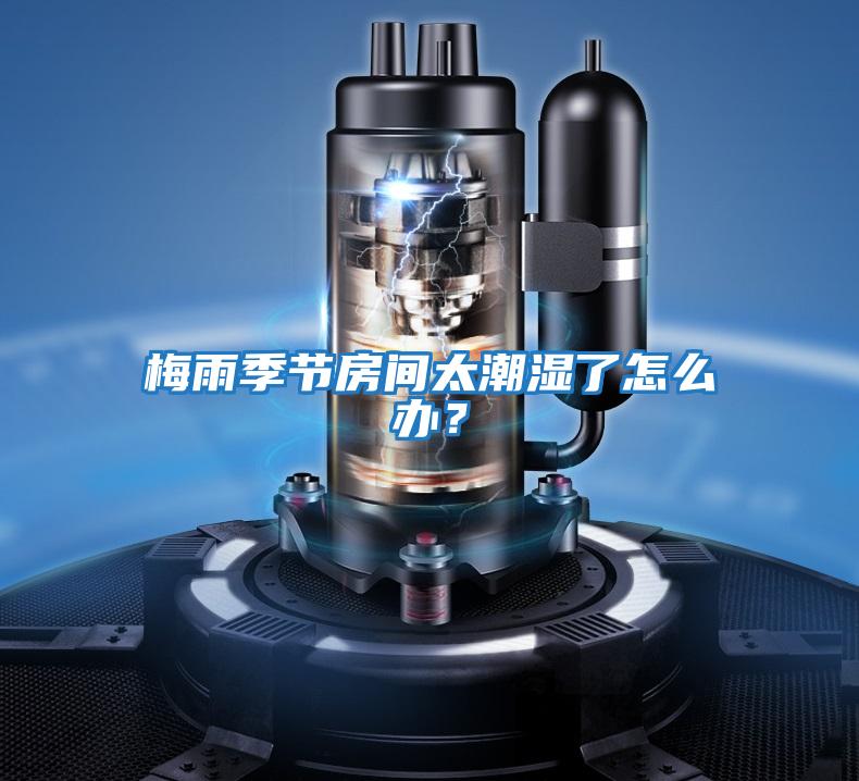 梅雨季節房間太潮濕了怎么辦？