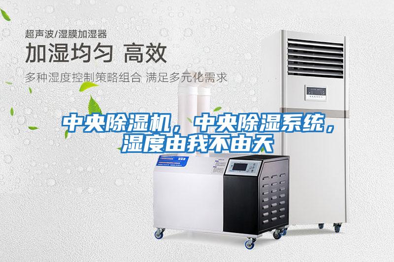 中央除濕機，中央除濕系統，濕度由我不由天