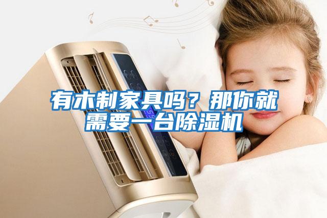 有木制家具嗎？那你就需要一臺除濕機