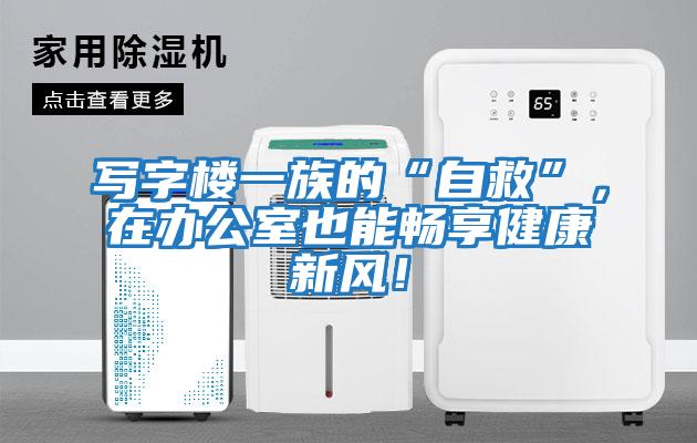 寫(xiě)字樓一族的“自救”，在辦公室也能暢享健康新風(fēng)！