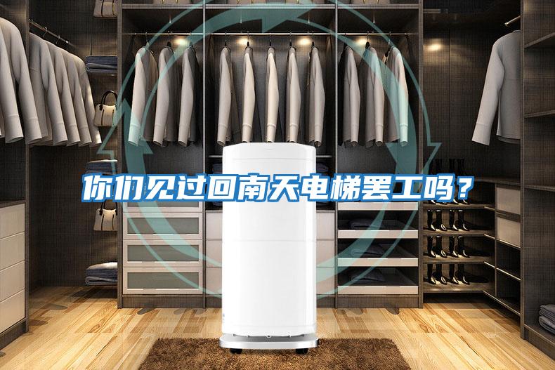 你們見(jiàn)過(guò)回南天電梯罷工嗎？