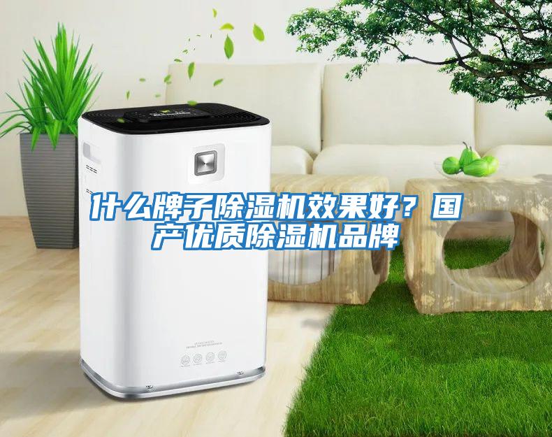 什么牌子除濕機效果好？國產(chǎn)優(yōu)質(zhì)除濕機品牌