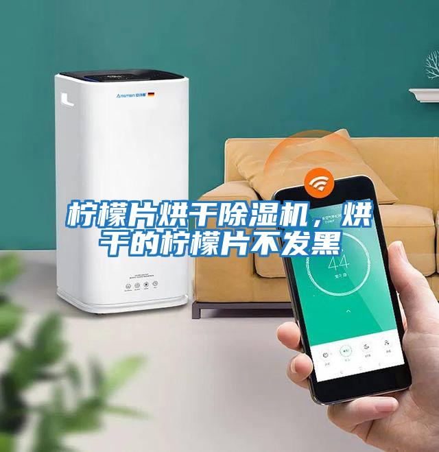 檸檬片烘干除濕機，烘干的檸檬片不發(fā)黑