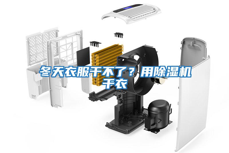 冬天衣服干不了？用除濕機干衣